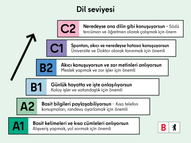 A1: Basit kelimeleri ve kısa cümleleri anlıyorsun; A2: Basit bilgiler alışverişinde bulunabiliyorsun; B1: Gündelik hayatta ve iş yerinde iyi bir şekilde iletişim kurabiliyorsun; B2: Akıcı konuşuyorsun ve zor metinleri anlıyorsun; C1: Spontane olarak da akıcı konuşuyorsun ve neredeyse hiç hata yapmıyorsun; C2: Neredeyse ana dilin gibi konuşuyorsun